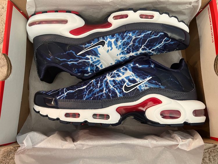 Nike Air Max Plus Sneakers