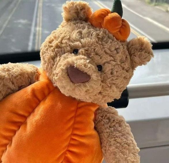 Plush Teddy Bear In Pumpkin Costume