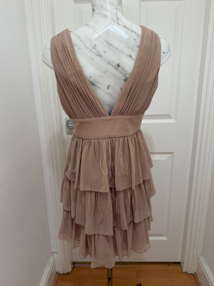 Pixi Lotte lipsey Pleated Sleeveless Layered Dress