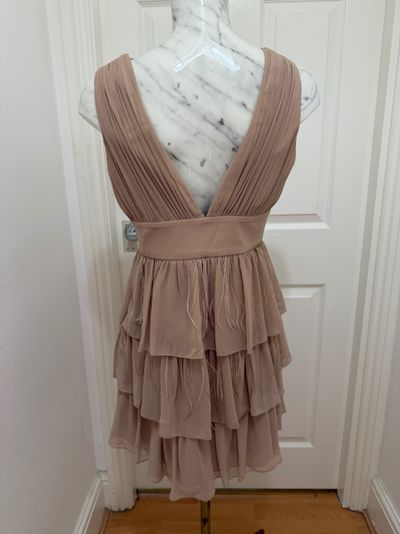 Pixi Lotte lipsey Pleated Sleeveless Layered Dress