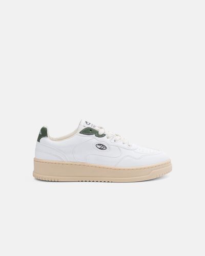Canyon - White & Green - Apple