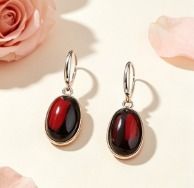 Other Red And Black Drop Earrings product image