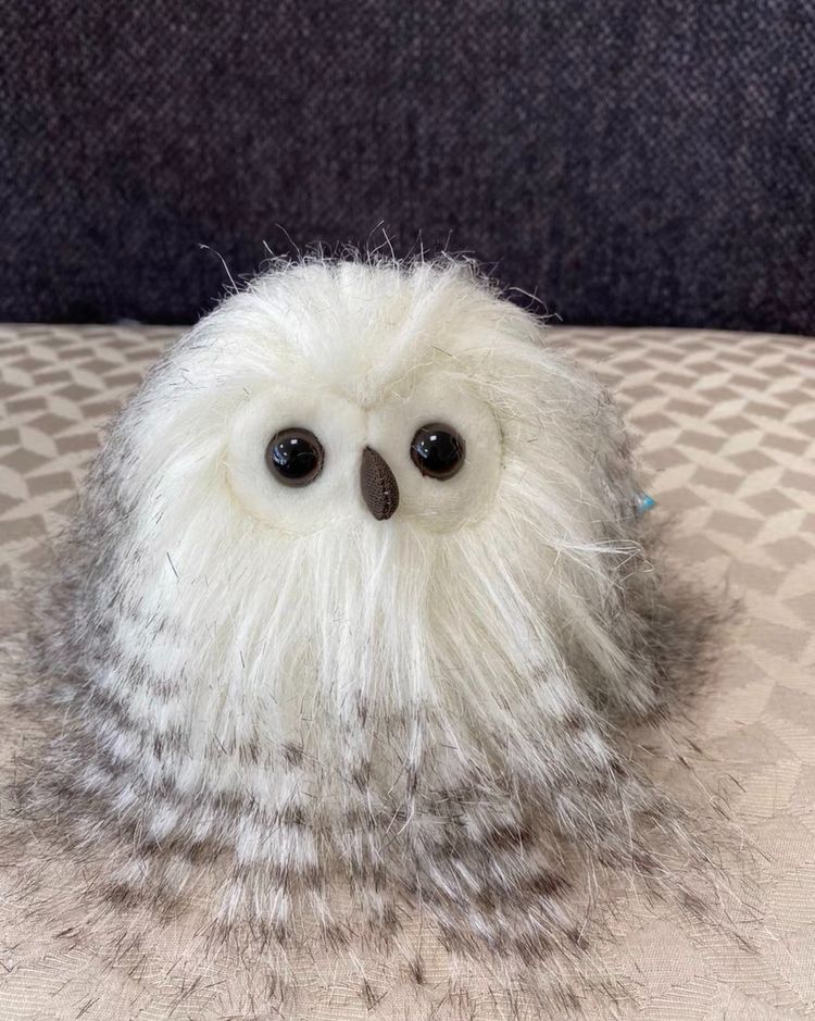 Plush Owl Toy