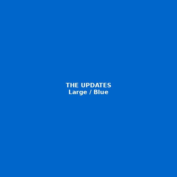 THE UPDATES 5