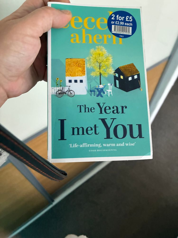 Book The Year I Met You Book By Cecelia Ahern product image