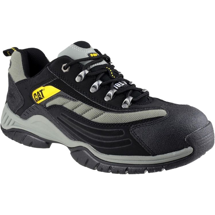 Cat Moor Trainer 3