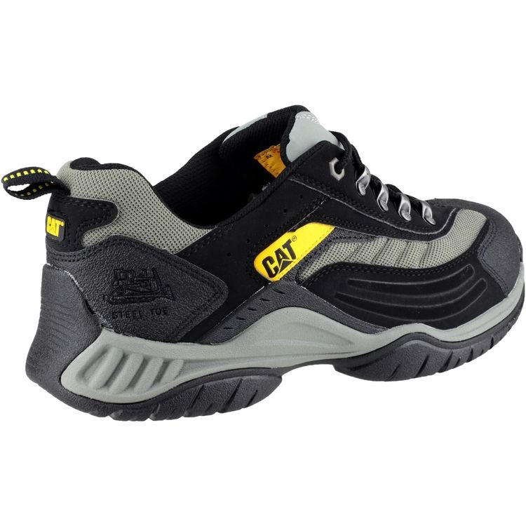 Cat Moor Trainer 5