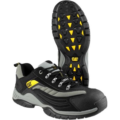 Cat Moor Trainer 2