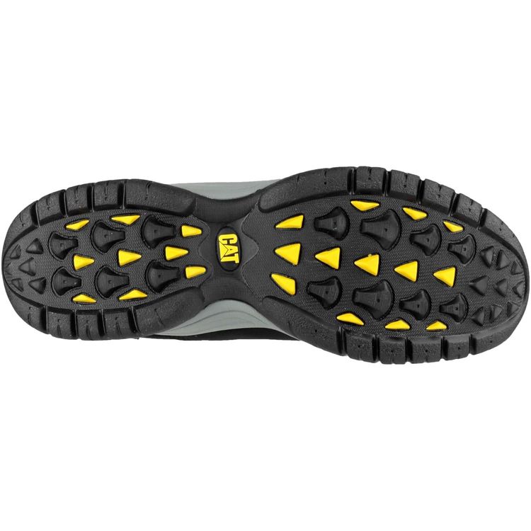 Cat Moor Trainer 4