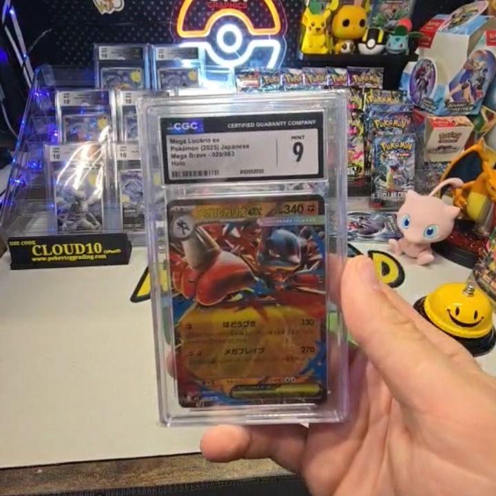 Other Lucario Slab  product image