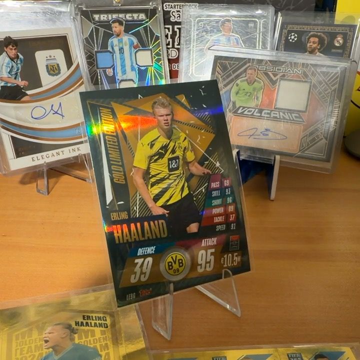 Other 3 haaland product image