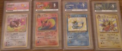 Ace graded 5,5,5,6 eevee and evolutions jungle japanese.