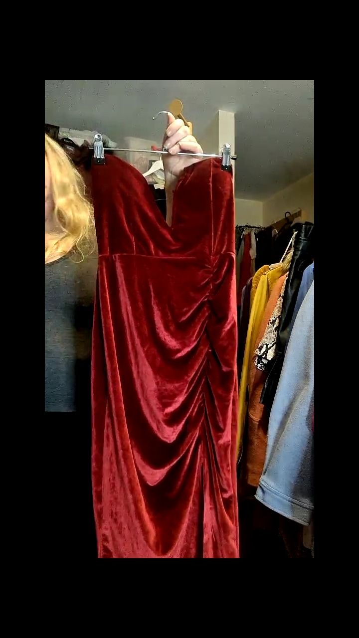 Rabbit Mirror Image - Jessica Rabbit dress - size medium - new without tags - Velvet -  product image