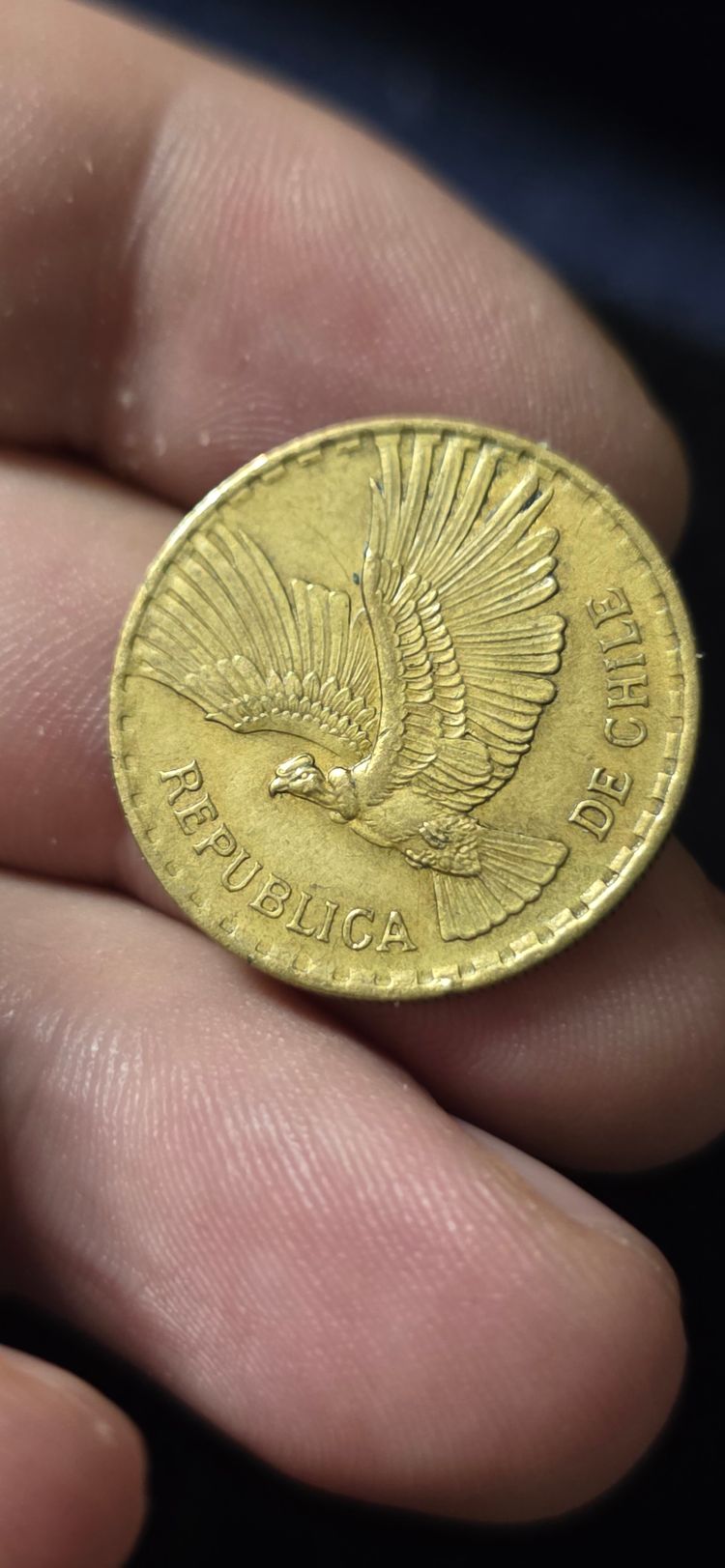 13).  5 Centesimos Coin