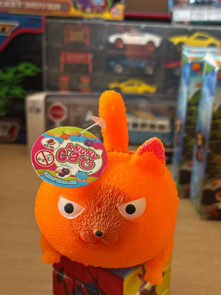 Angry Cat Toy