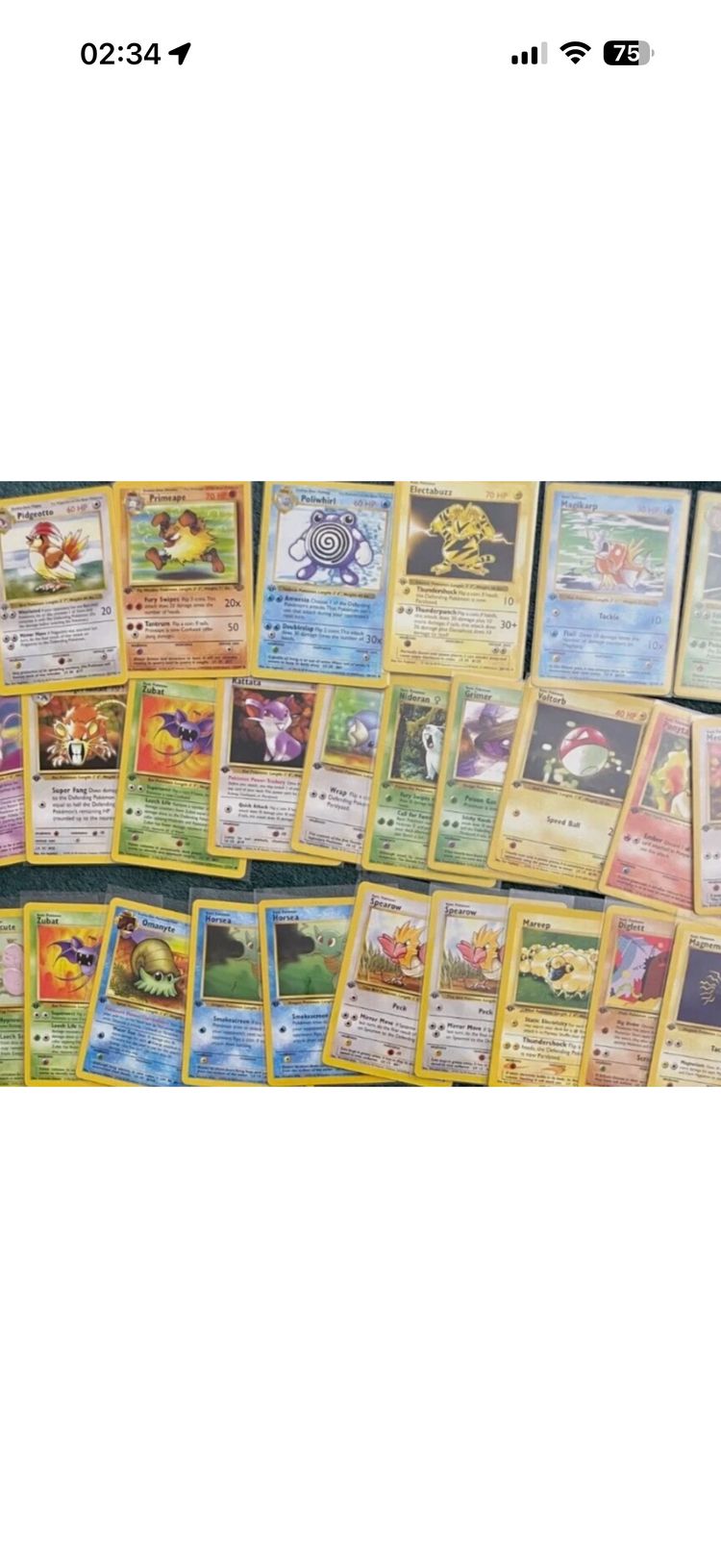 Pokémon  obraz 1