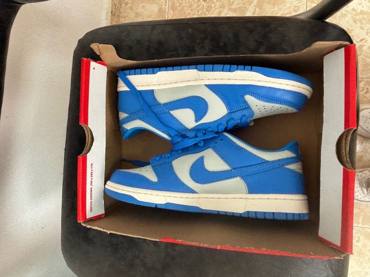 Nike Nike Dunk Low Gs Sneakers product image