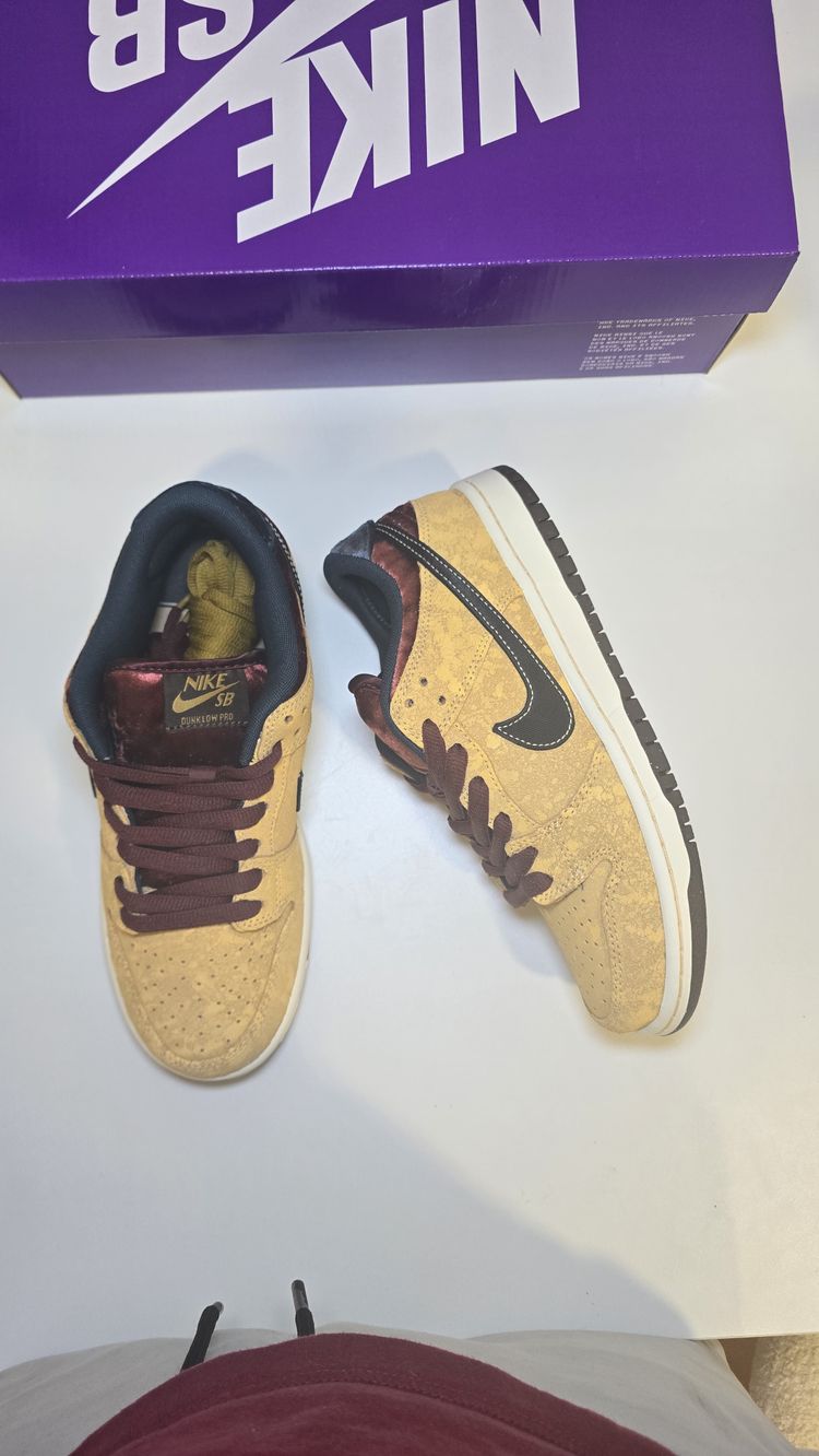 Nike dunk sb 
