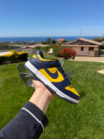 Dunk low Michigan 40.5 41