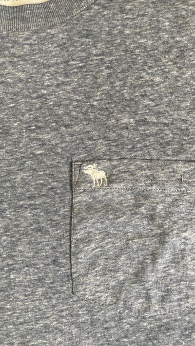 Abercrombie & Fitch Mens grey Muscle Fit T Shirt Pocket Embroidered Moose Logo 3