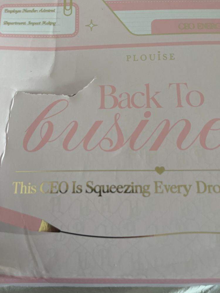 Plouise Makeup Set 2