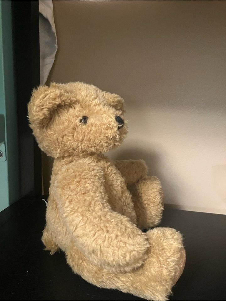 Teddy Bear imagen 1