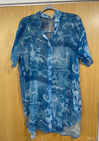 Blue Patterned Sheer Blouse