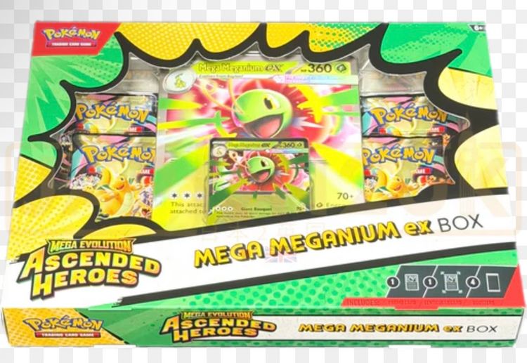 Pokémon Ascended Heroes Mega Meganium Ex Box product image