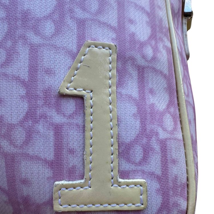 Christian Dior Pink Trotter 'No. 1' Canvas Crossbody Bag 8