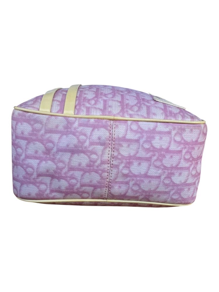 Christian Dior Pink Trotter 'No. 1' Canvas Crossbody Bag 11