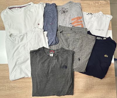 Lote de 8 prendas, a 6€/u, marcas como tommy,Ralph Lauren,Lacoste,Assn,North Face etc..