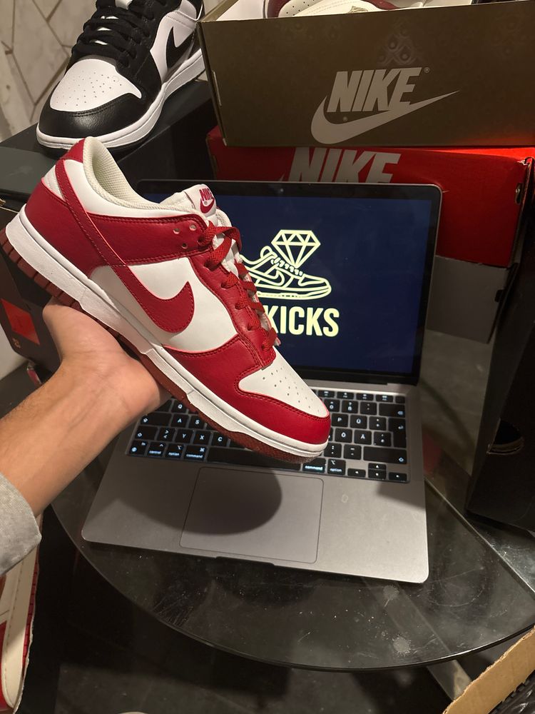 Nike Dunk Low Next Nature 