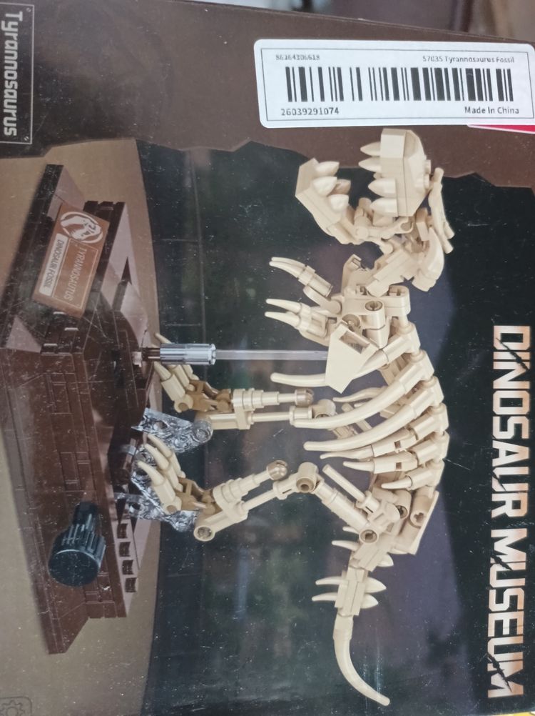 Dinosaur Museum - tyrannosaurus 