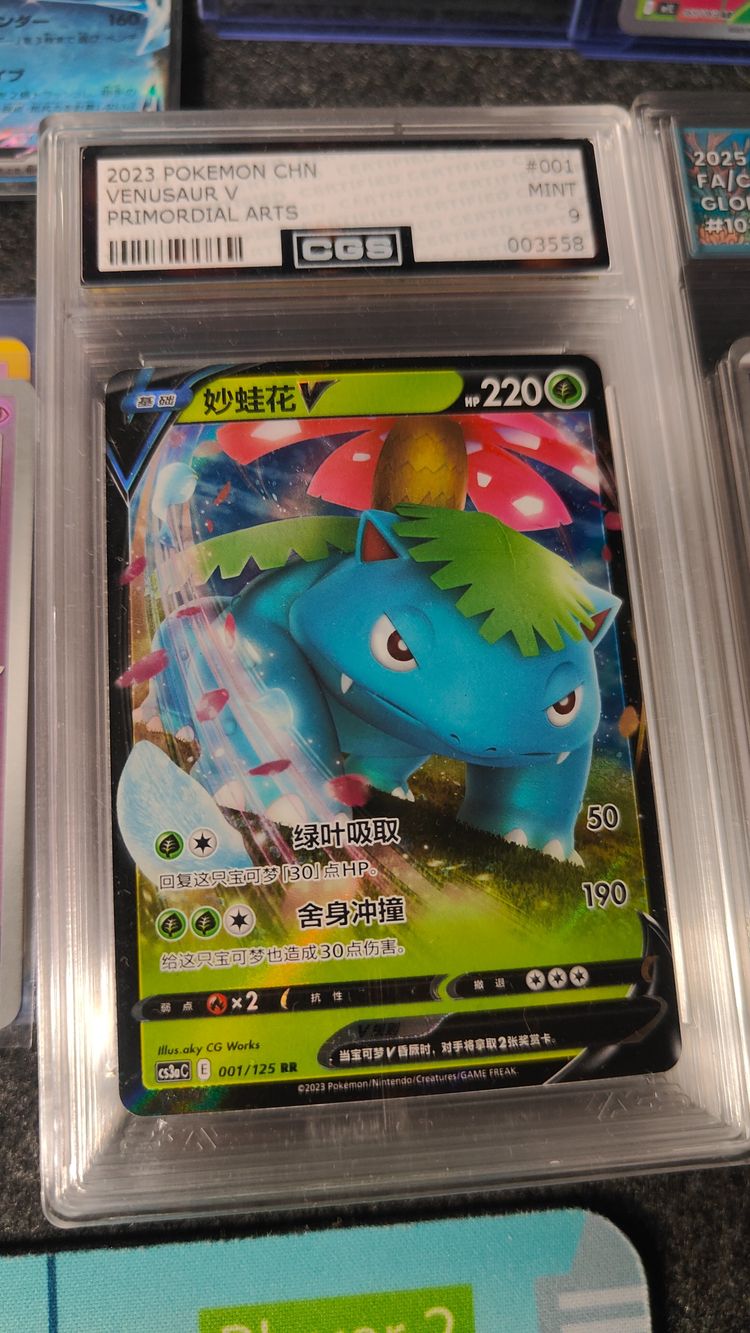 2023 Pokémon Card Venusaur V Primordial Arts