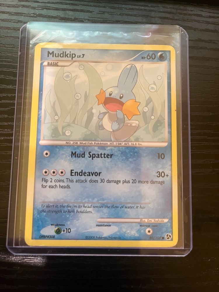 Mudkip lv7 - Great Encounters - 80/106