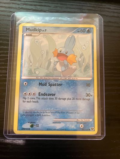 Mudkip lv7 - Great Encounters - 80/106