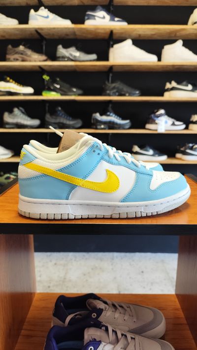 Nike Dunk Low Edición Especial