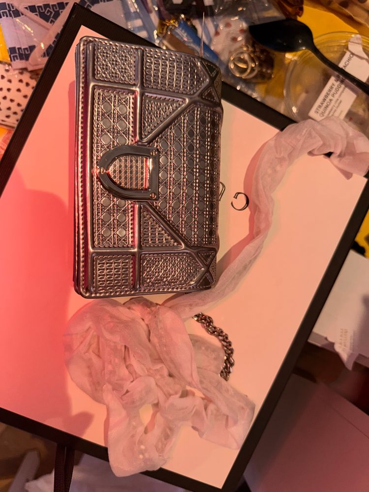 Dior Diorama Metallic Silver Handbag image 6