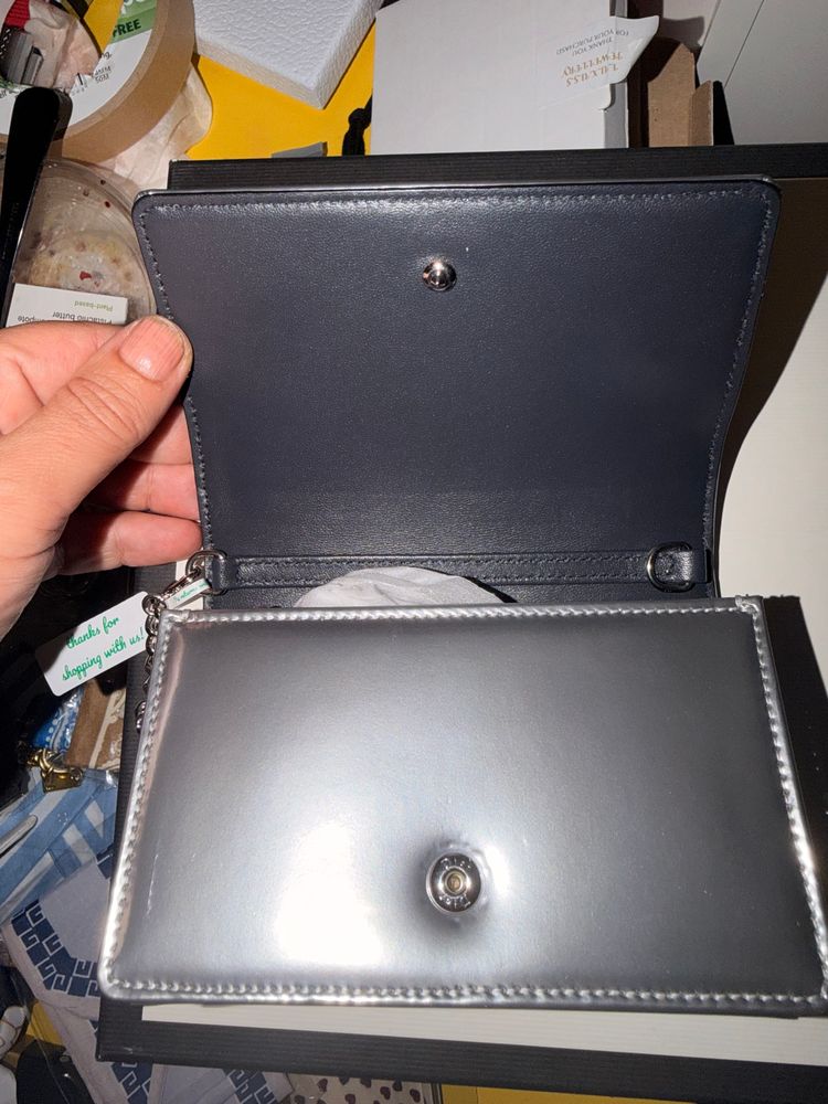 Dior Diorama Metallic Silver Handbag image 2