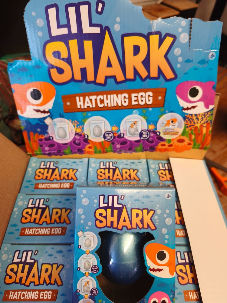Lil' Shark Hatching Egg