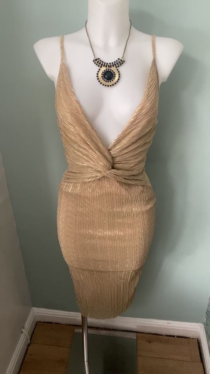 Cameo Rose Bodycon Party Dress image 1