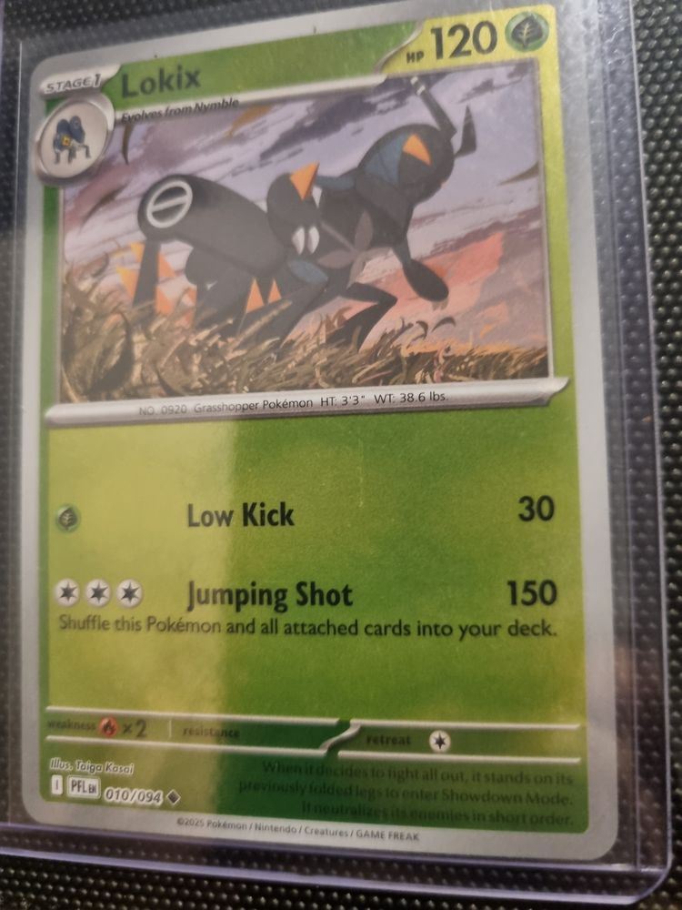 Pokémon Trading Card Lokix