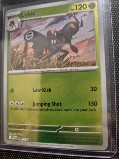 Pokémon Trading Card Lokix