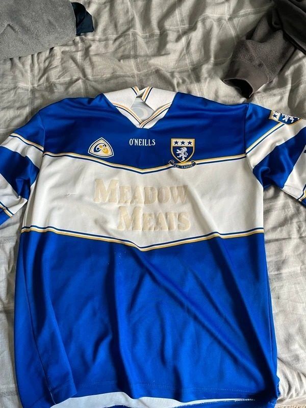 Immagine di O'Neills Laois Sports Jersey 1