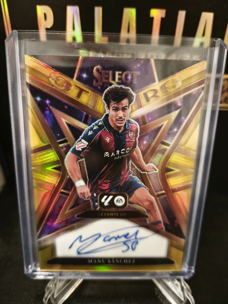 Auto Manu Sanchez /10