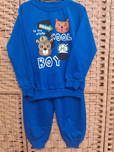 Blue Kids Sweatshirt And Pants Set