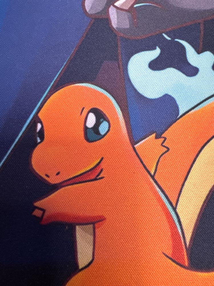 CharNzard mega deals 