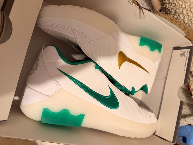 Nike LeBron Witness IX – Limited Edition – Size UK 11.5 / US 12.5
