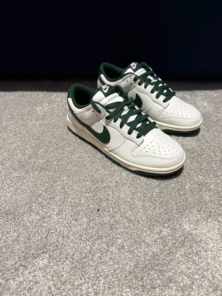 Nike dunk low retro