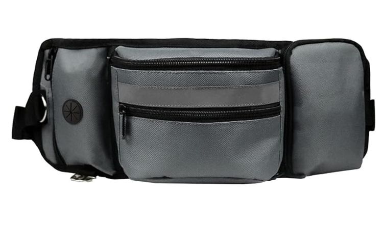 Other Pouch for Training-Built in Poop Bag Dispenser with Hidden Water Bottle Holder (Bottle not Included), Waist Belt Fanny Pack for Puppy Class, Travel, Running, Walking and Camping, Grey product image